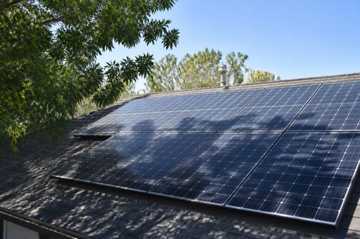 Tree shade falling across rooftop solar panels